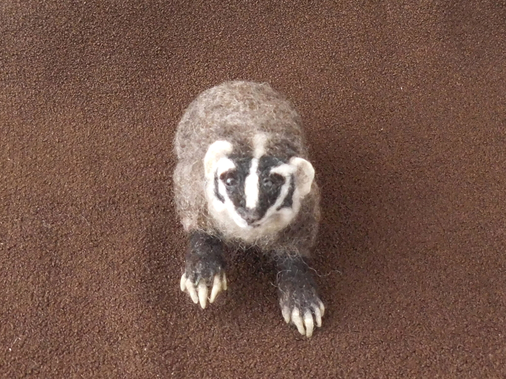 American Badger
