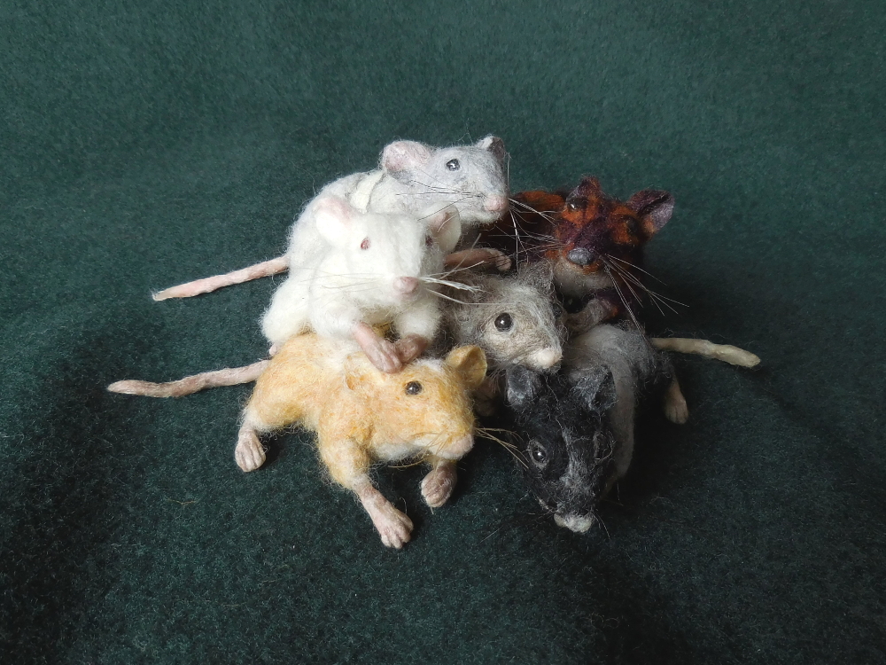 Mouse Litter 24: Pin Girls and Cousin
