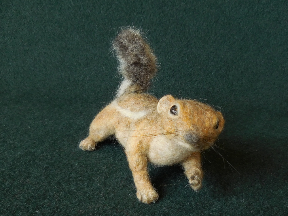 San Joaquin Antelope Squirrel