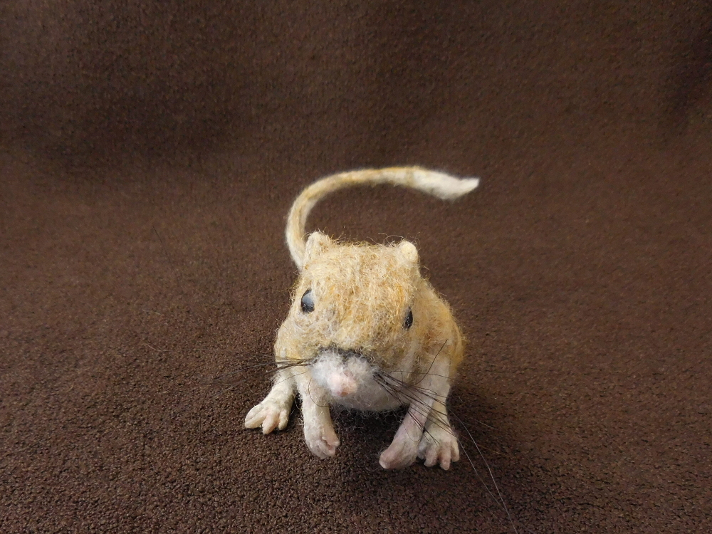 Tipton Kangaroo Rat