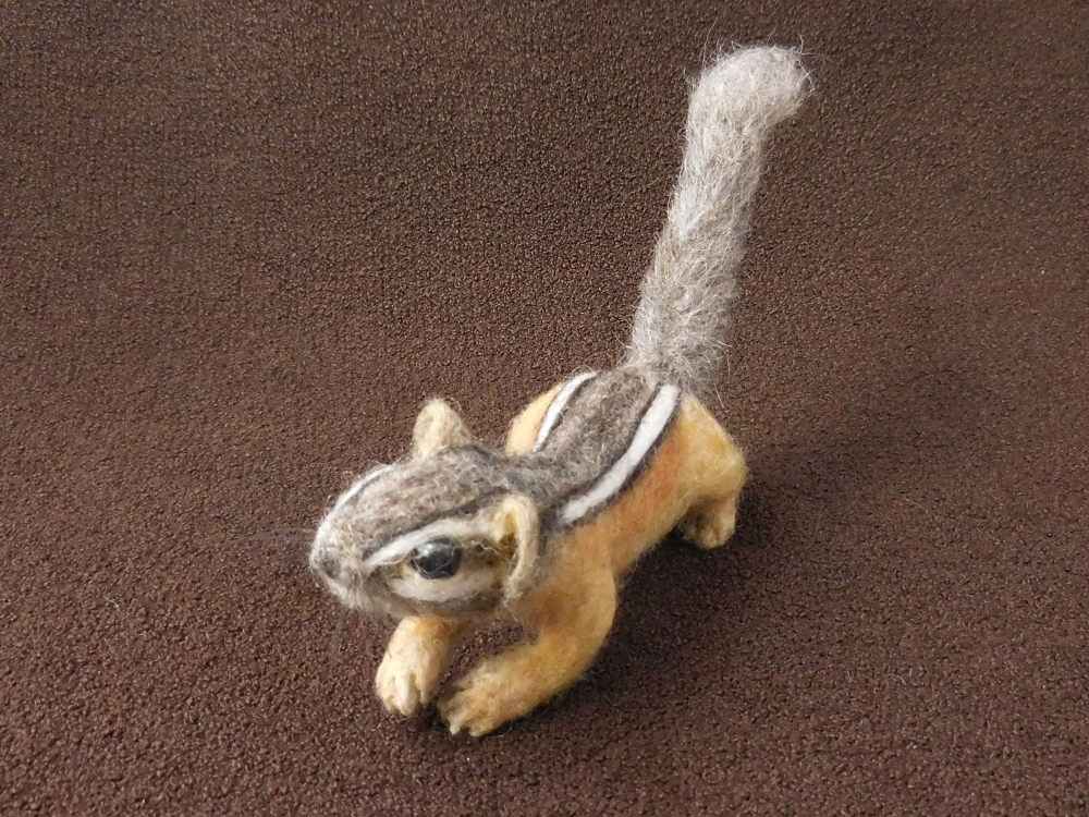Chipmunk 33: Fourth Baby