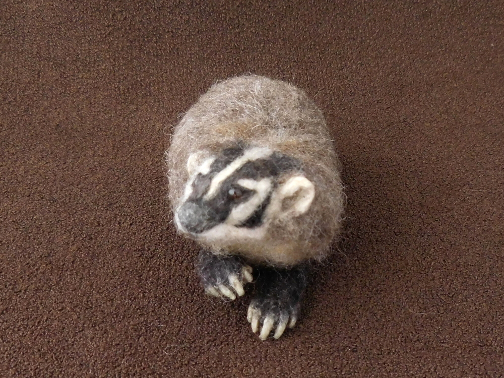 American Badger 2