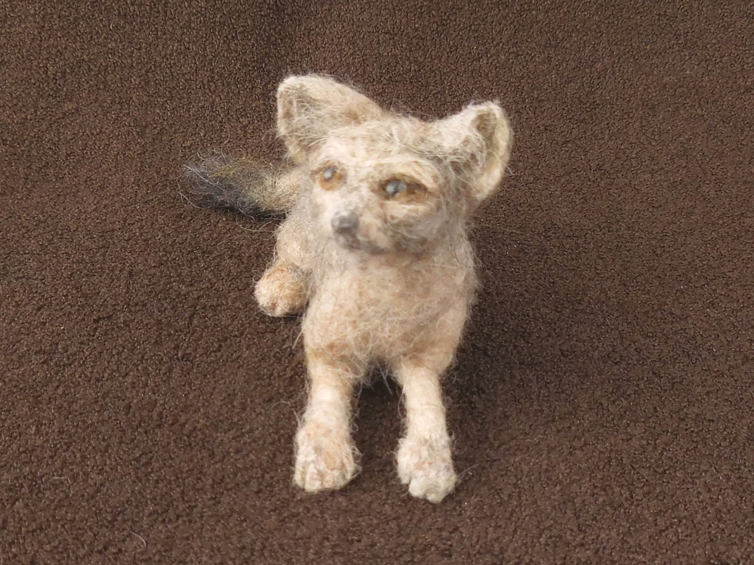 San Joaquin Kit Fox