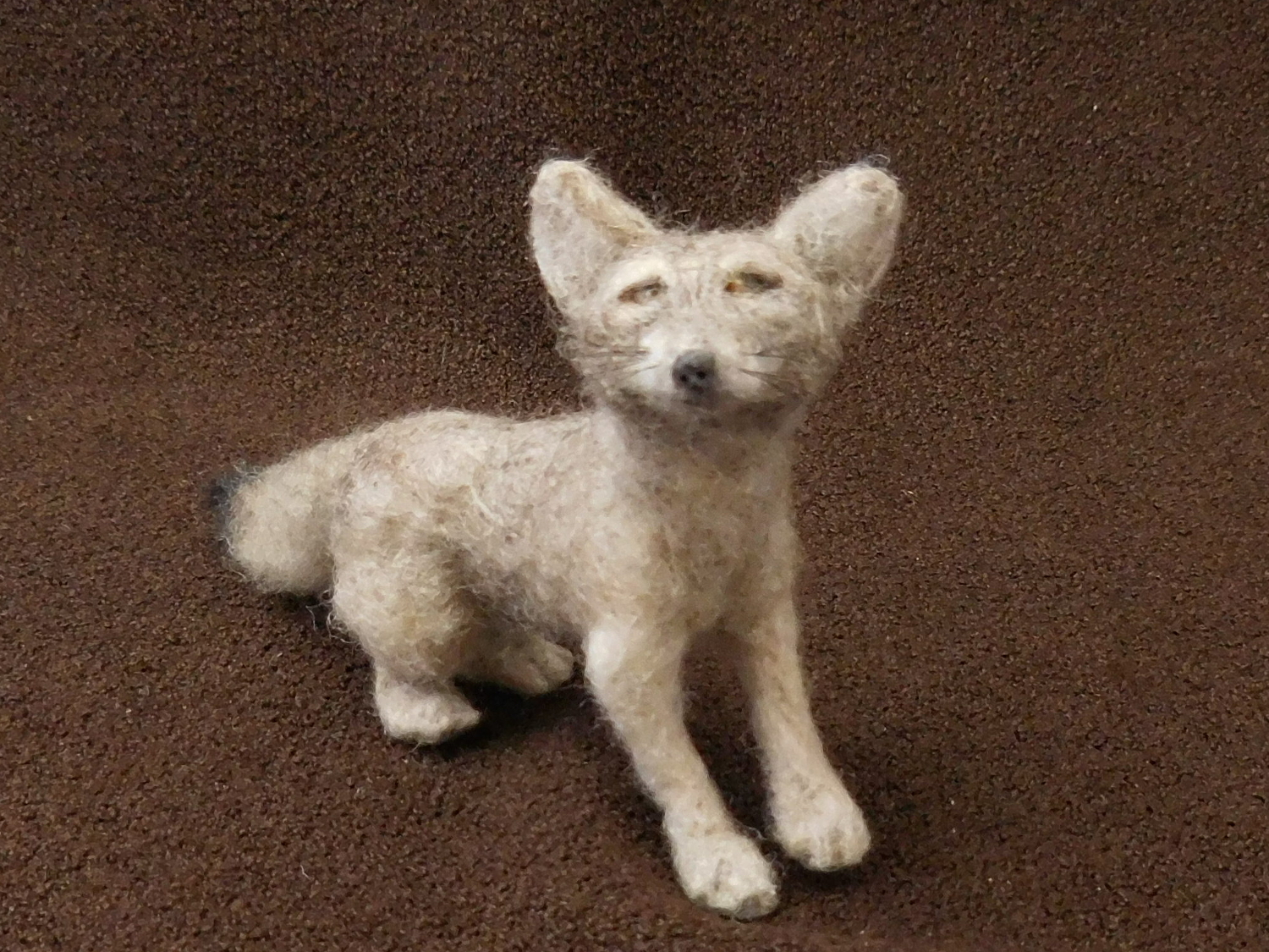 San Joaquin Kit Fox 2