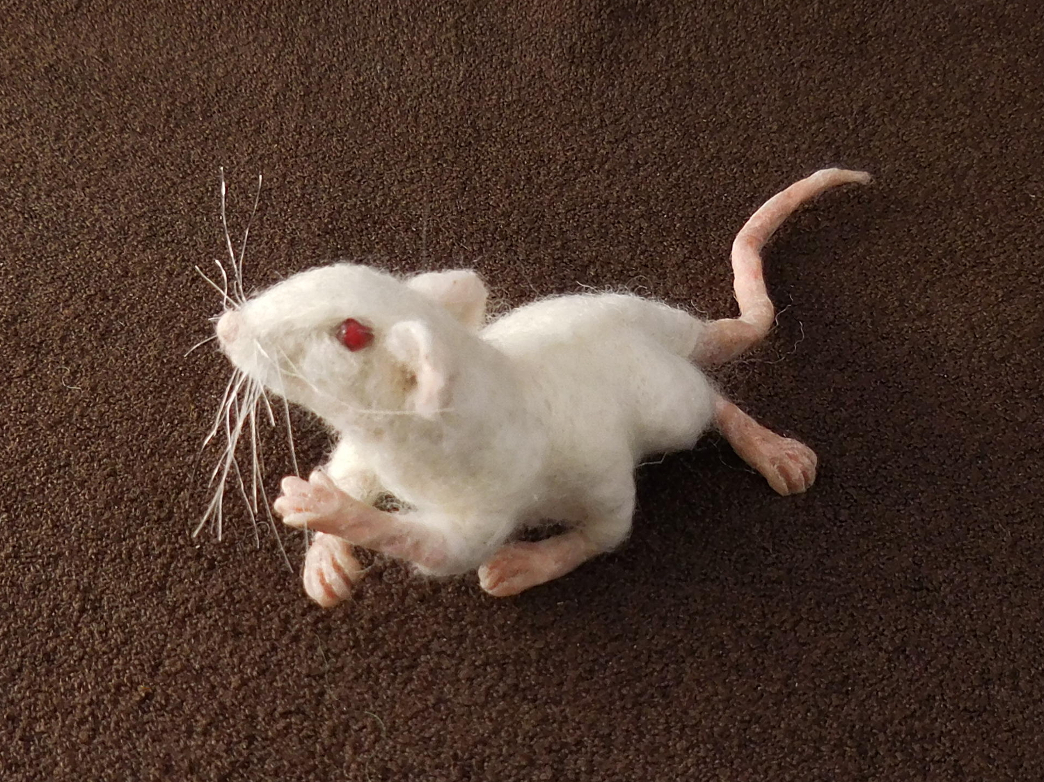 Hexapod Mouse 4