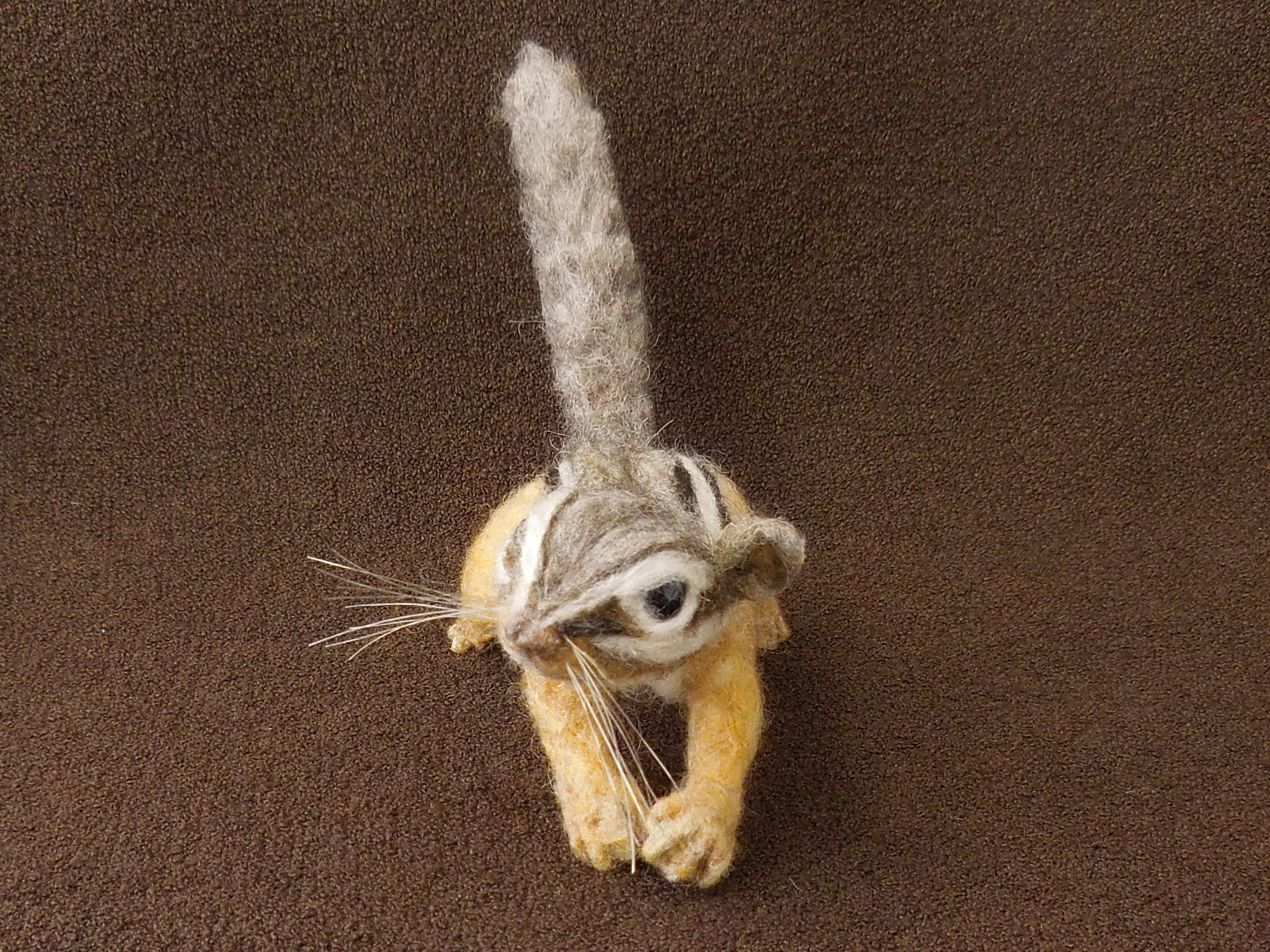 Chipmunk 36: Baby 6