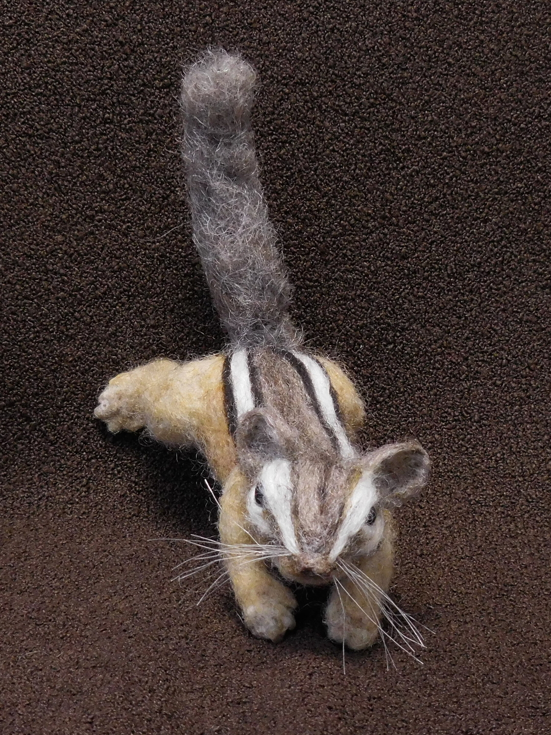Chipmunk 37: Baby 7