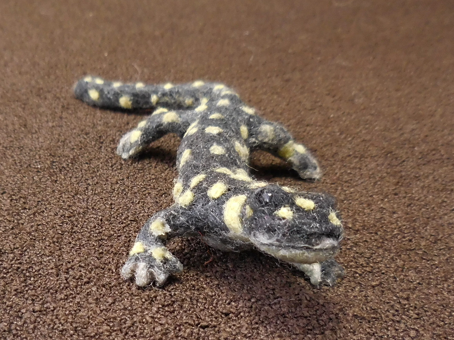 California Tiger Salamander 5