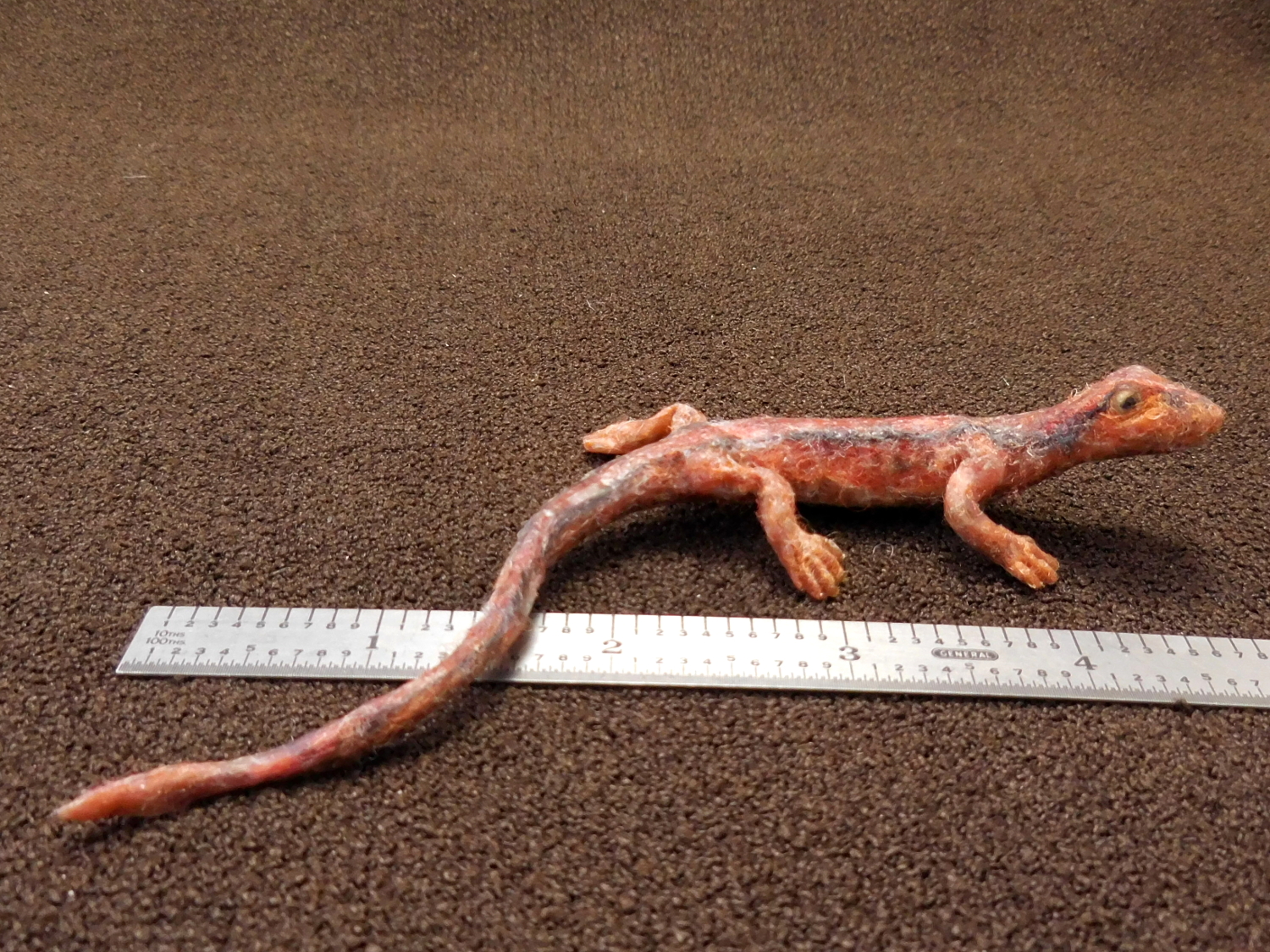 Blue Ridge Two-lined Salamander