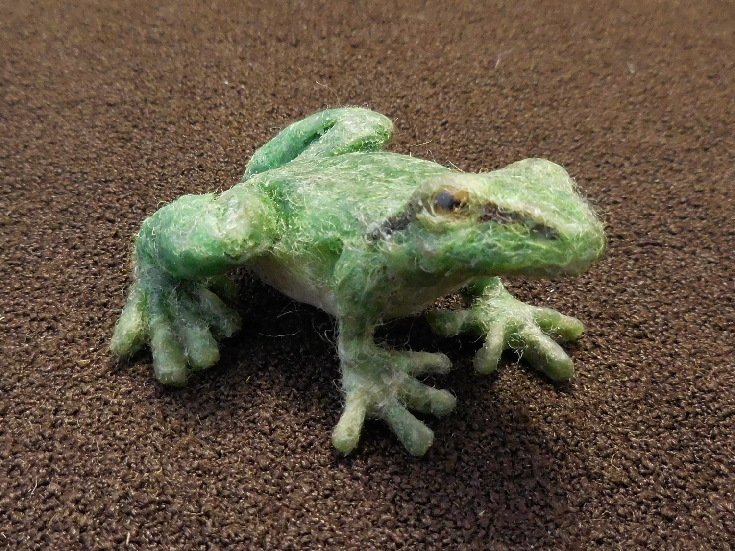 Pacific Chorus Frog