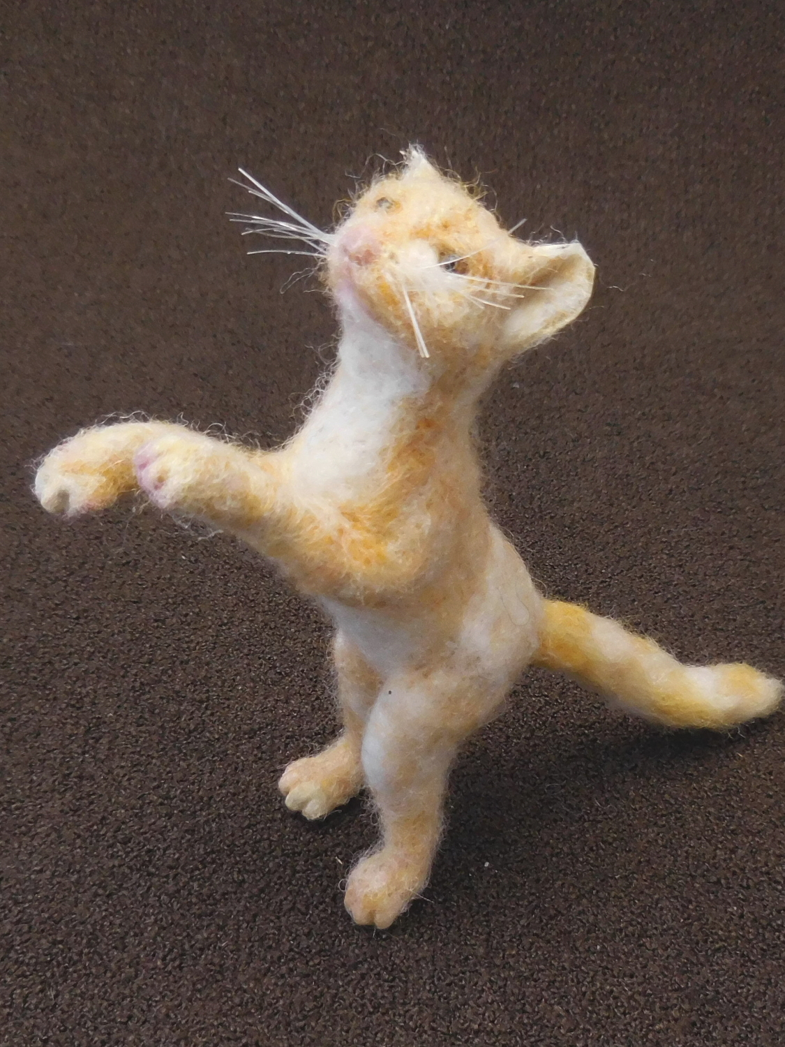 Golden Kitten