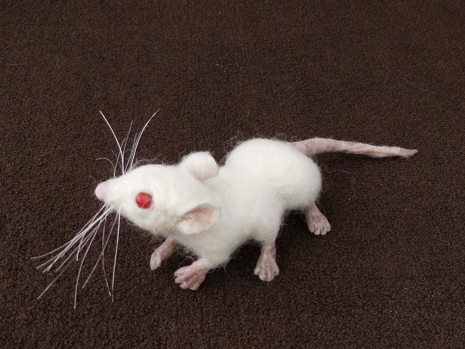 Hexapod Mouse 6