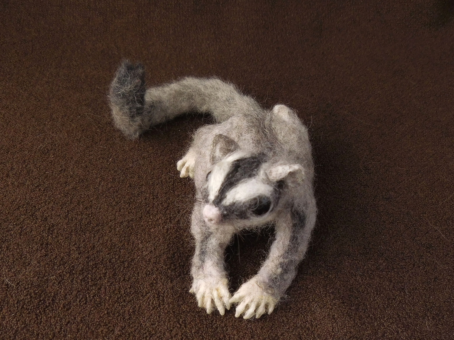Sugar Glider 7