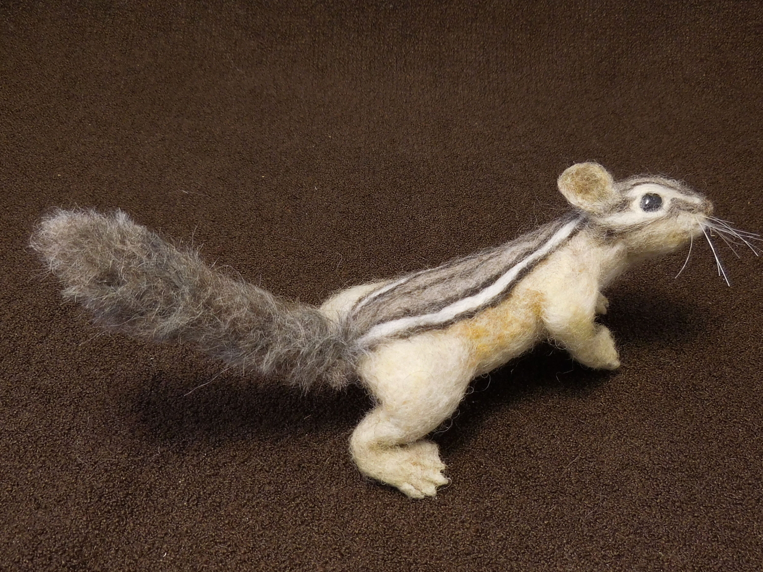 Chipmunk 39