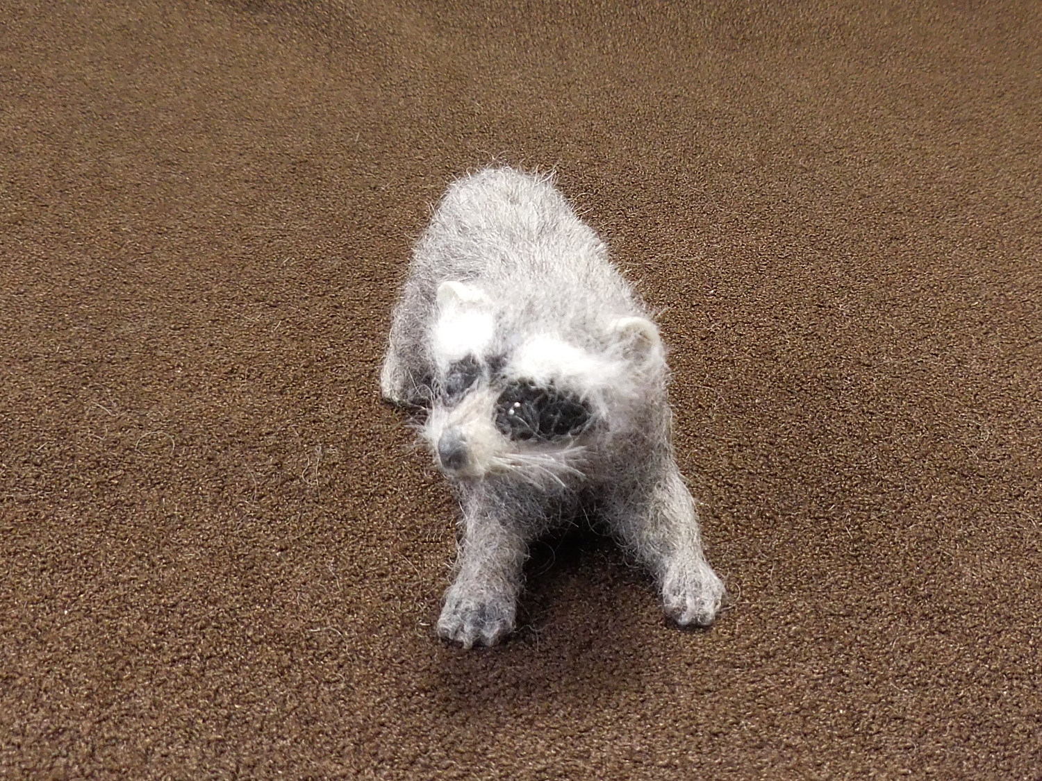Raccoon 2
