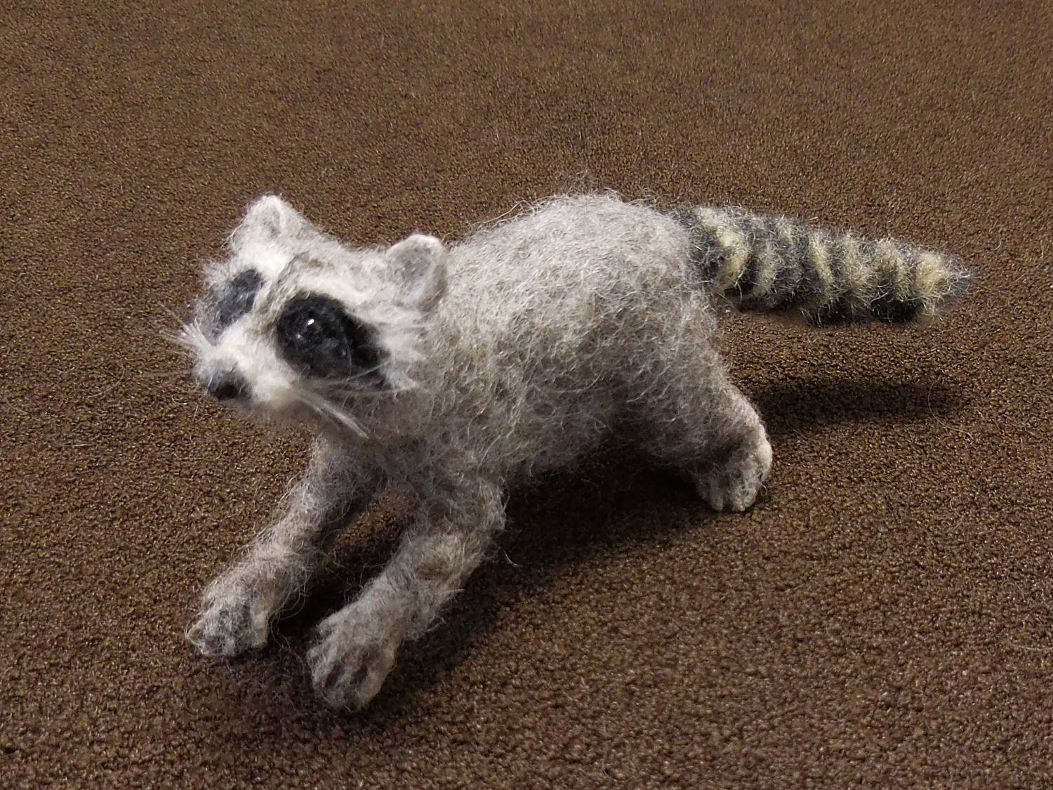 Raccoon 3