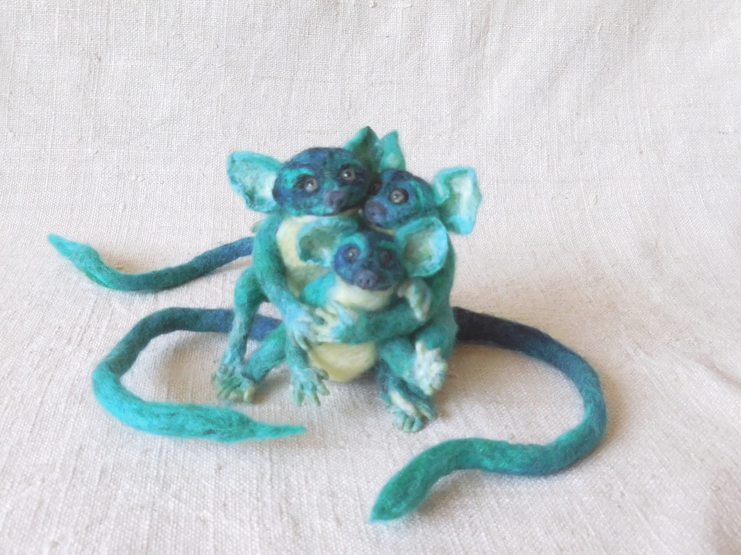 Blue Loris Youngsters