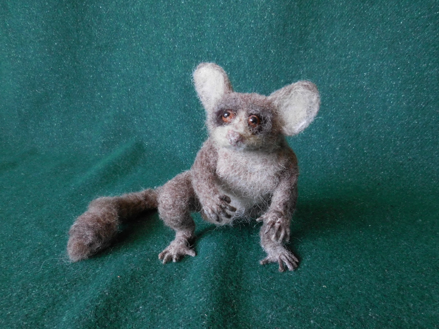 Bush Baby 3