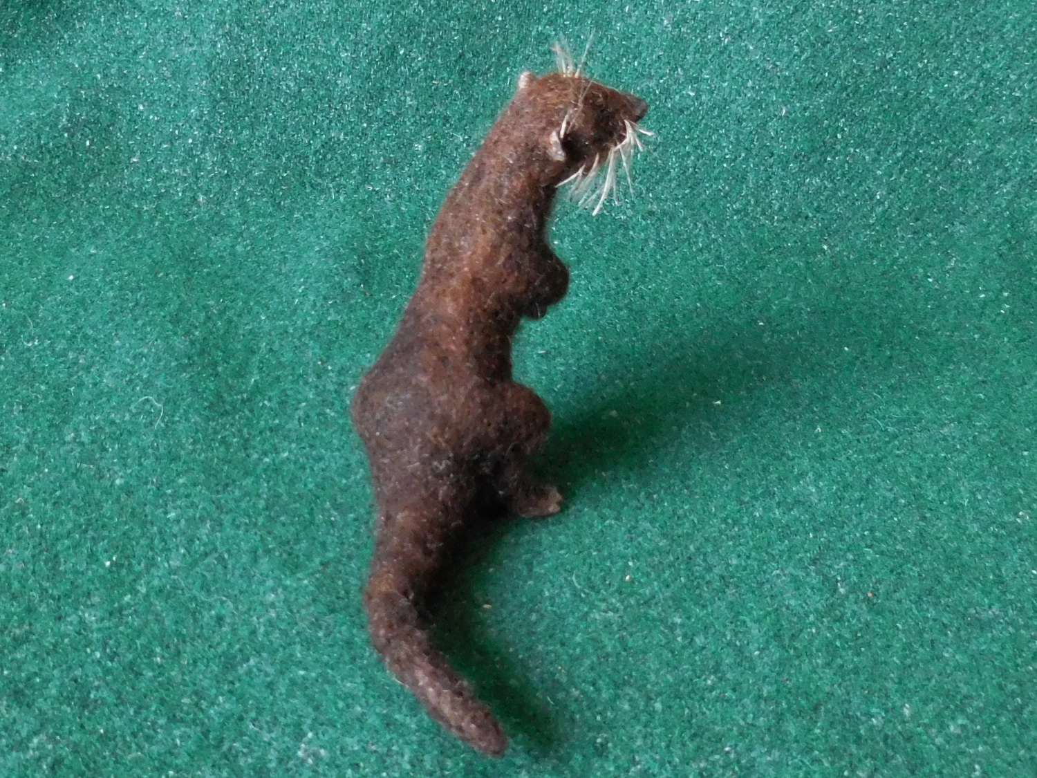 River Otter 8