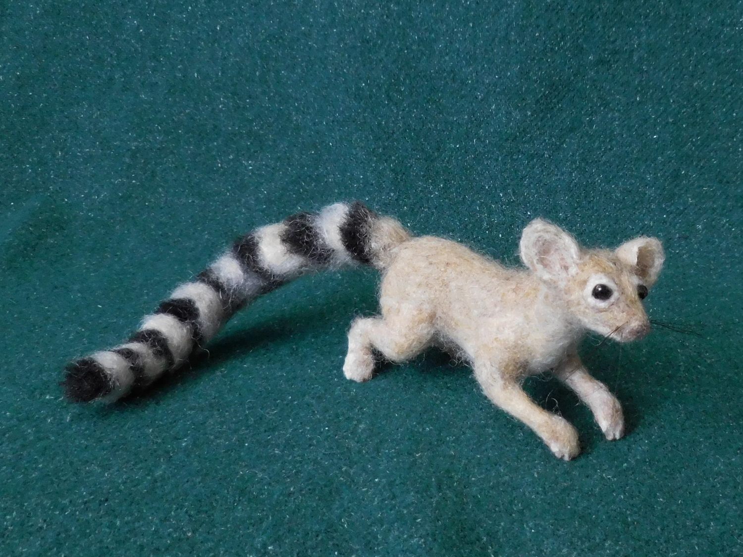 Ringtail 2
