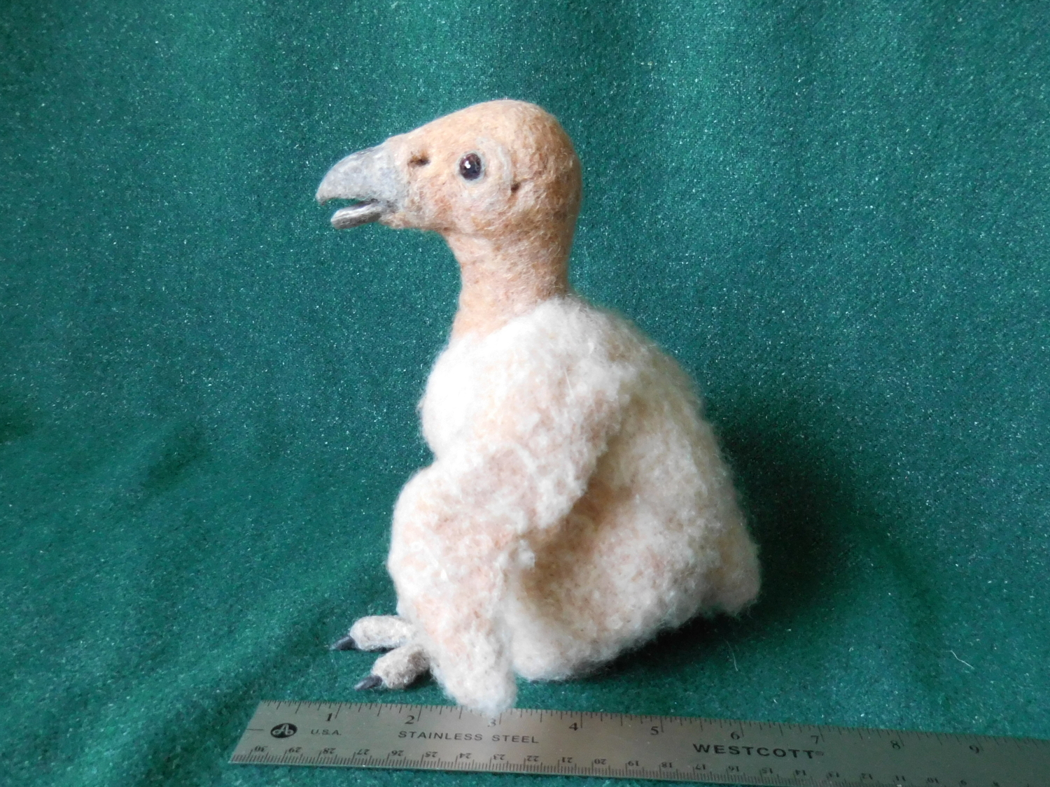 California Condor