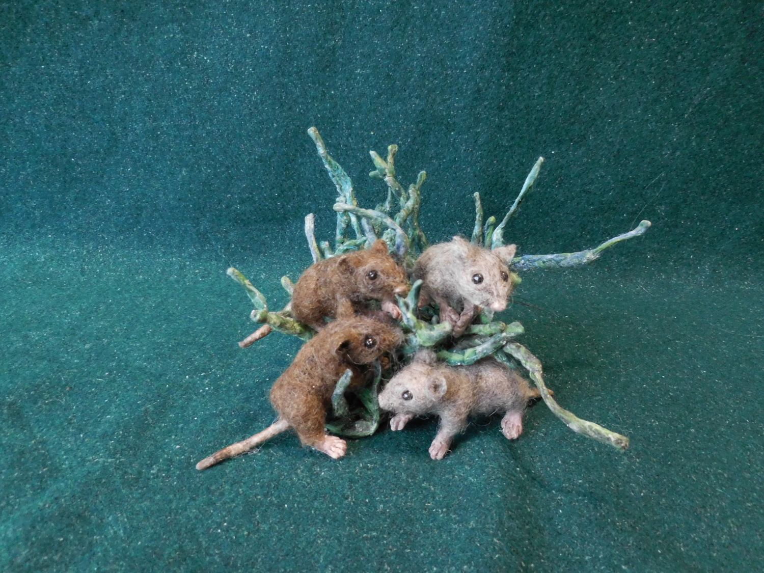 Salt Marsh Harvest Mice