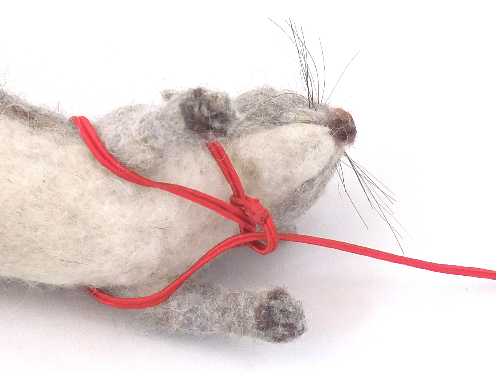 Continue wrapping the cord around your creature’s body, behond the front legs, then thread the pin through the loop again. Pic #3: Straight harness, Step 2
