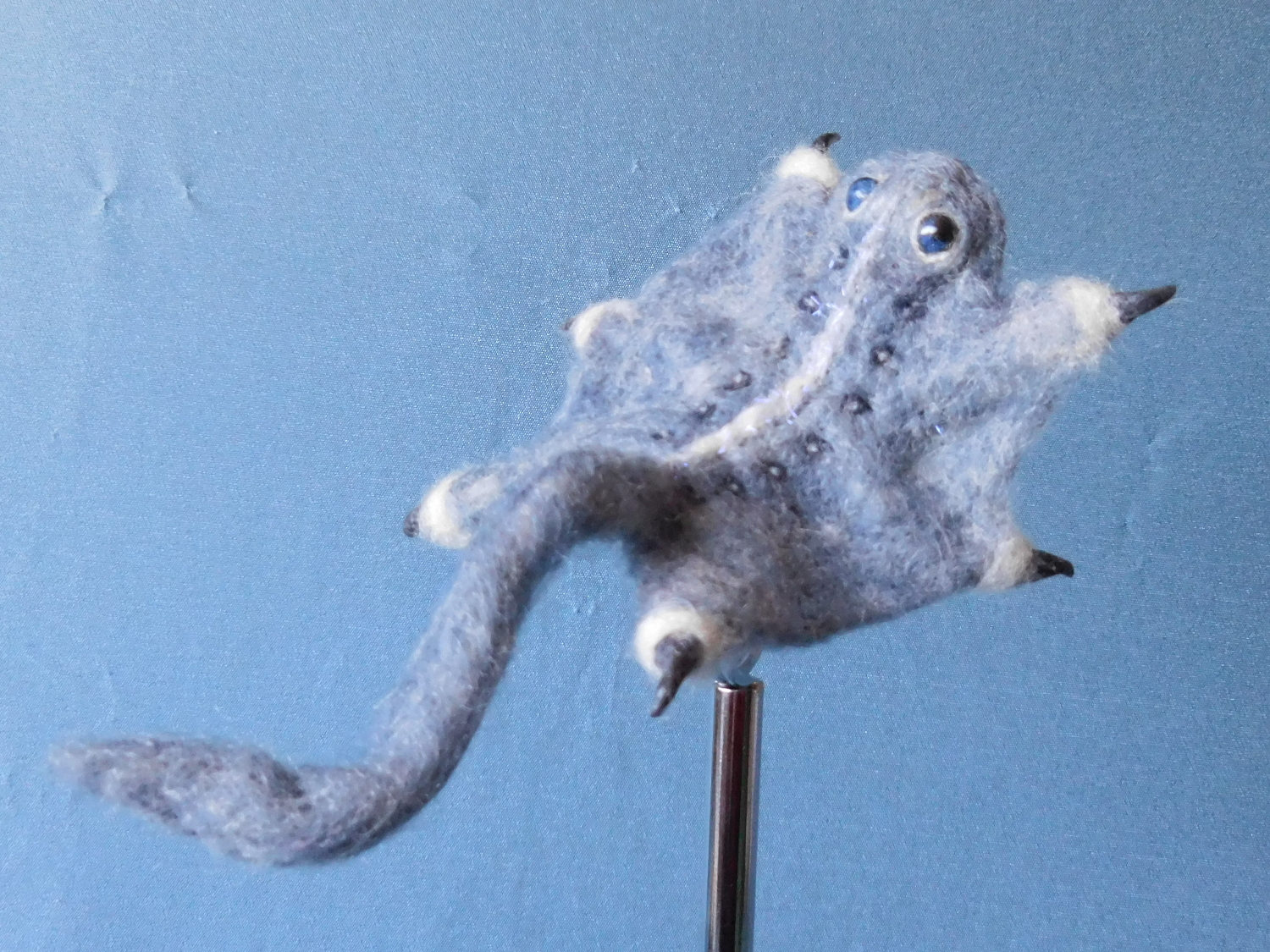 Ray-Seal