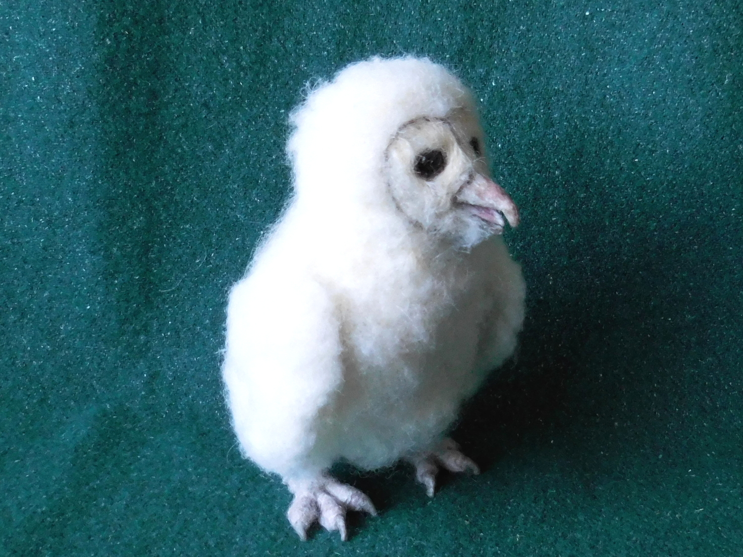 Barn Owlet