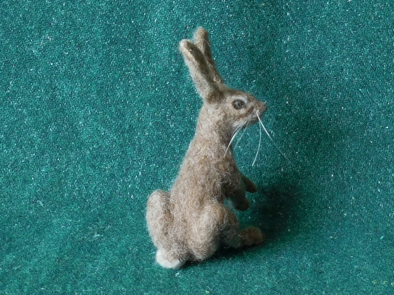 Hare 3