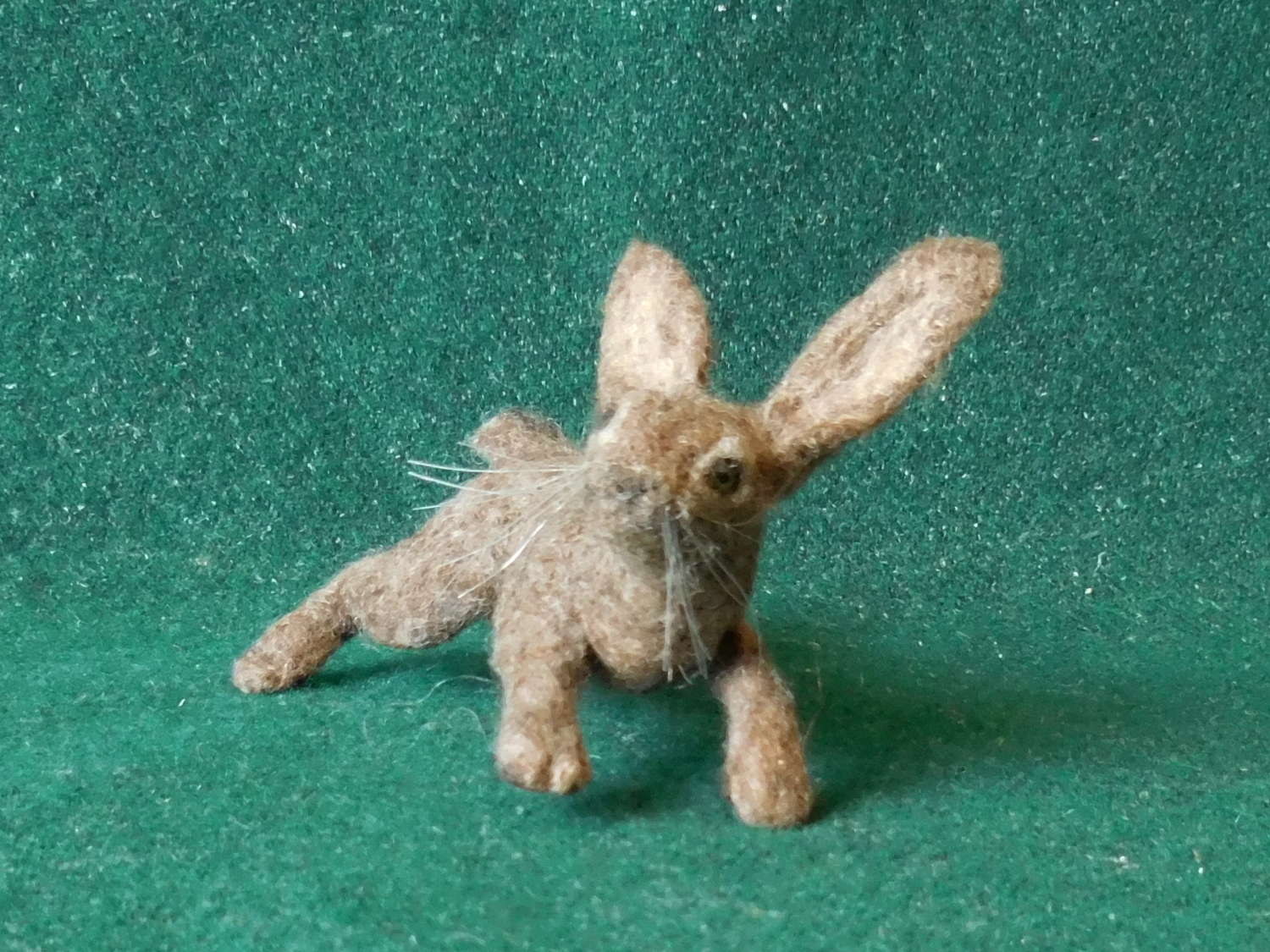 Hare 4