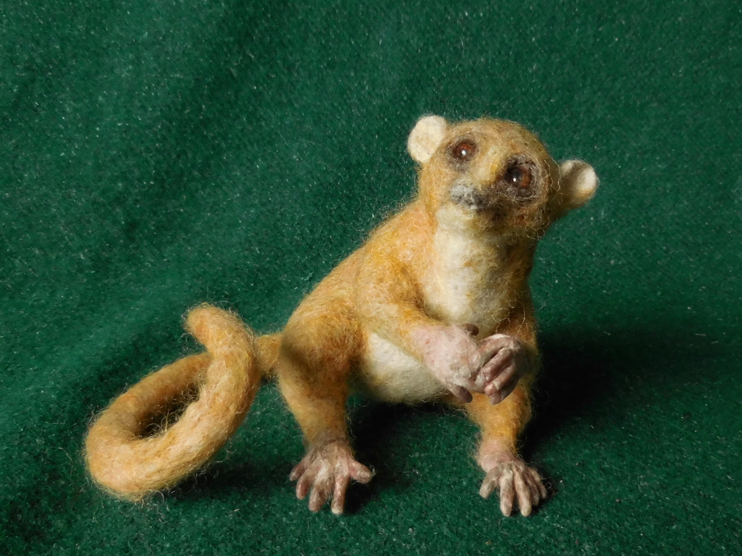 Mouse Lemur