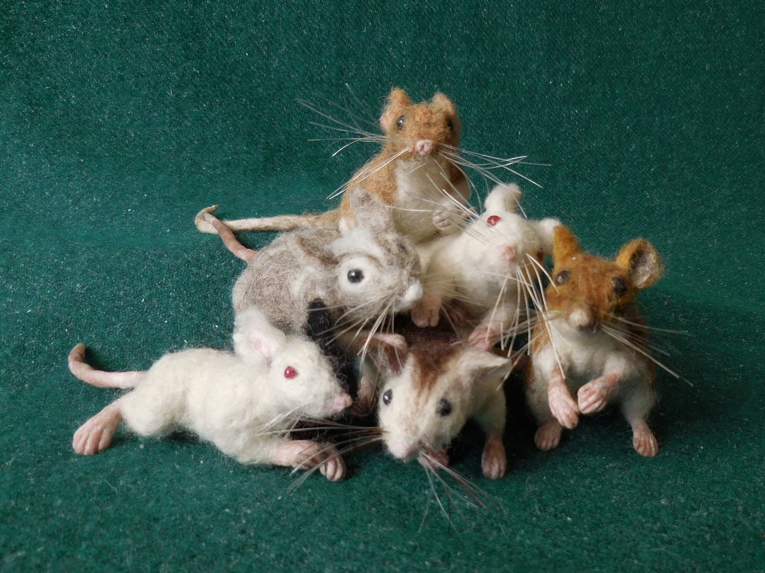 Mouse Litter 25 – Back from the Edge