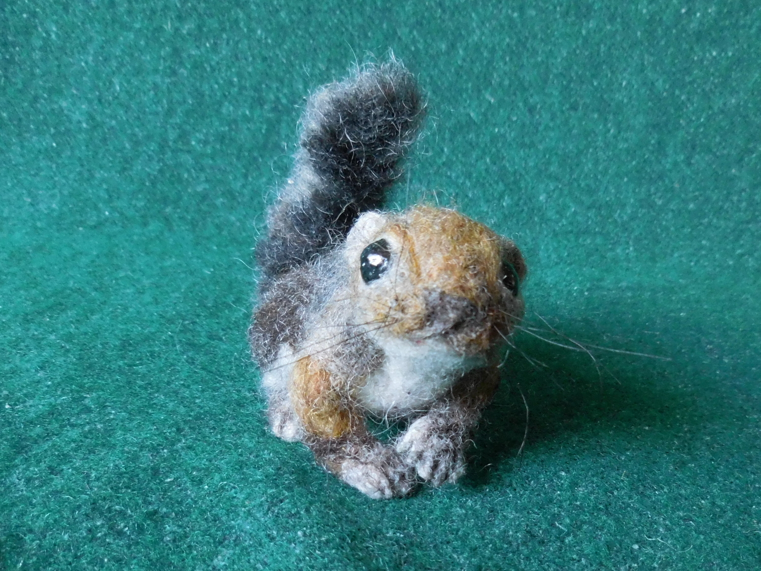 Momonga 5 
