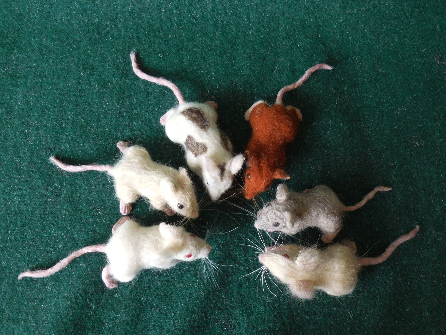 Mouse Litter 26 – More Mice