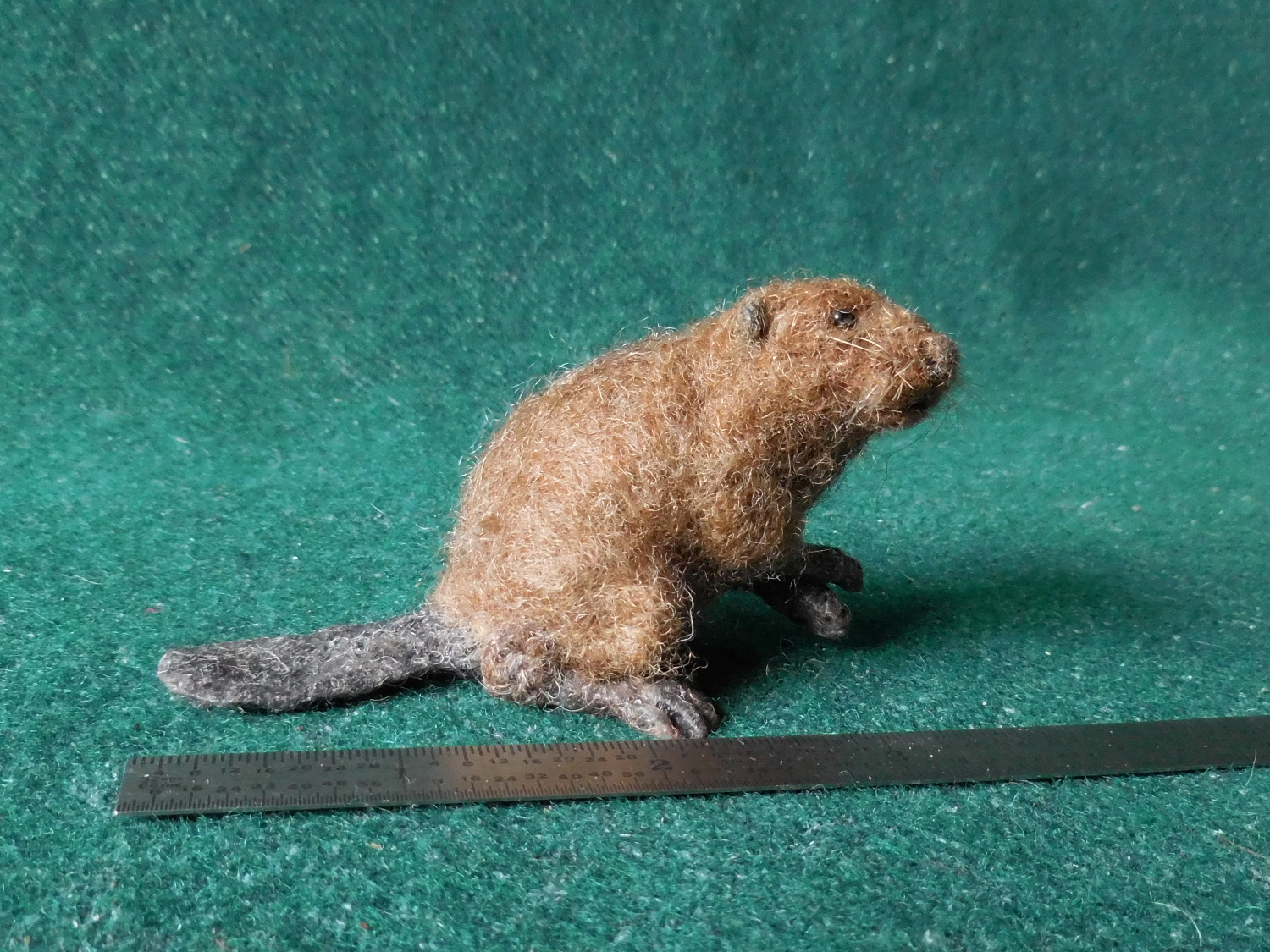 Beaver 4