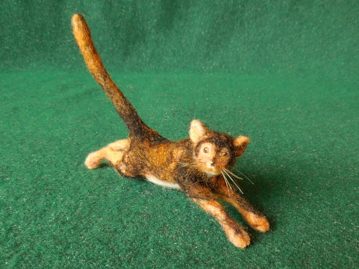 Eastbound Cat
