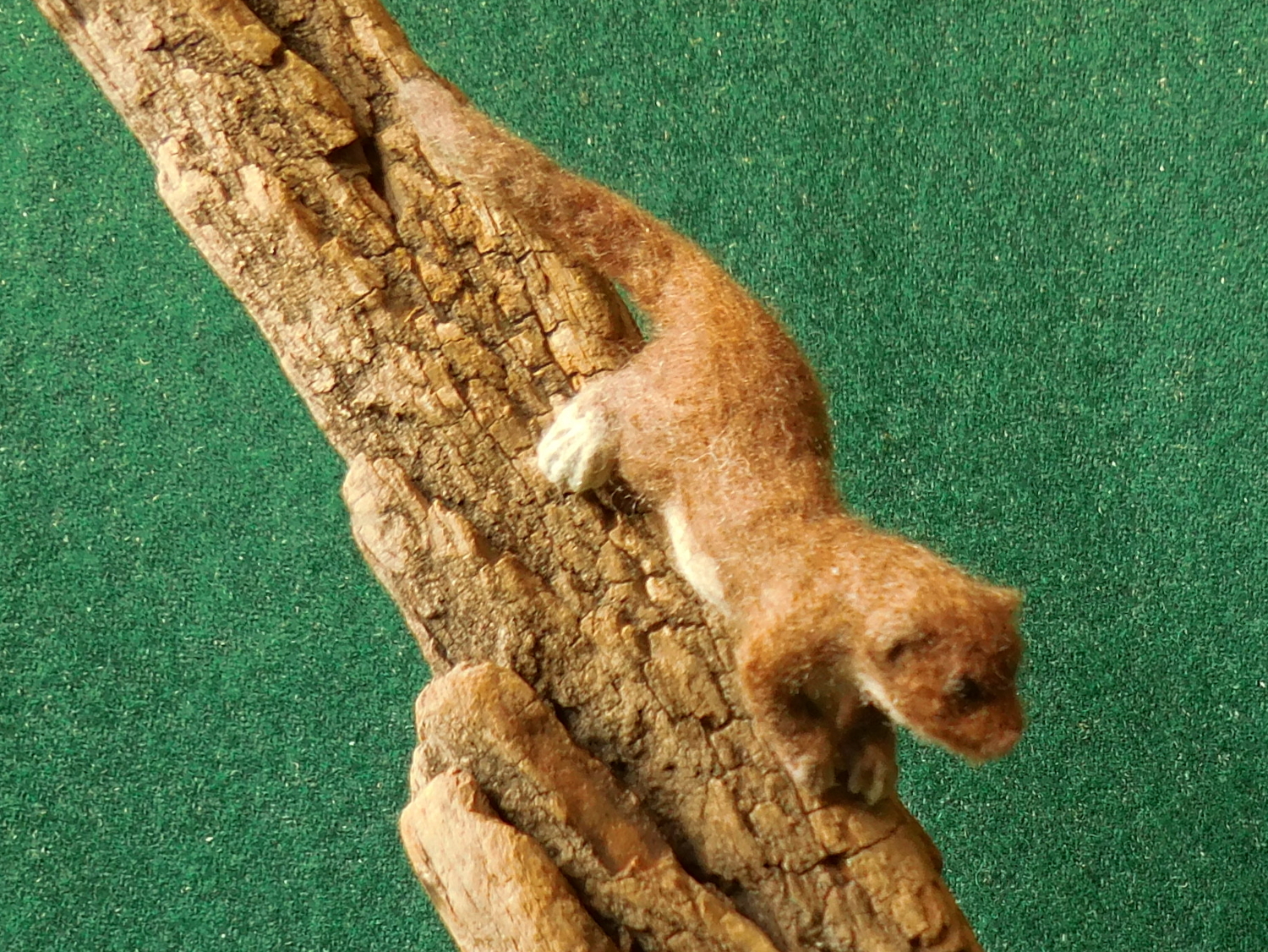 Least Weasel 5