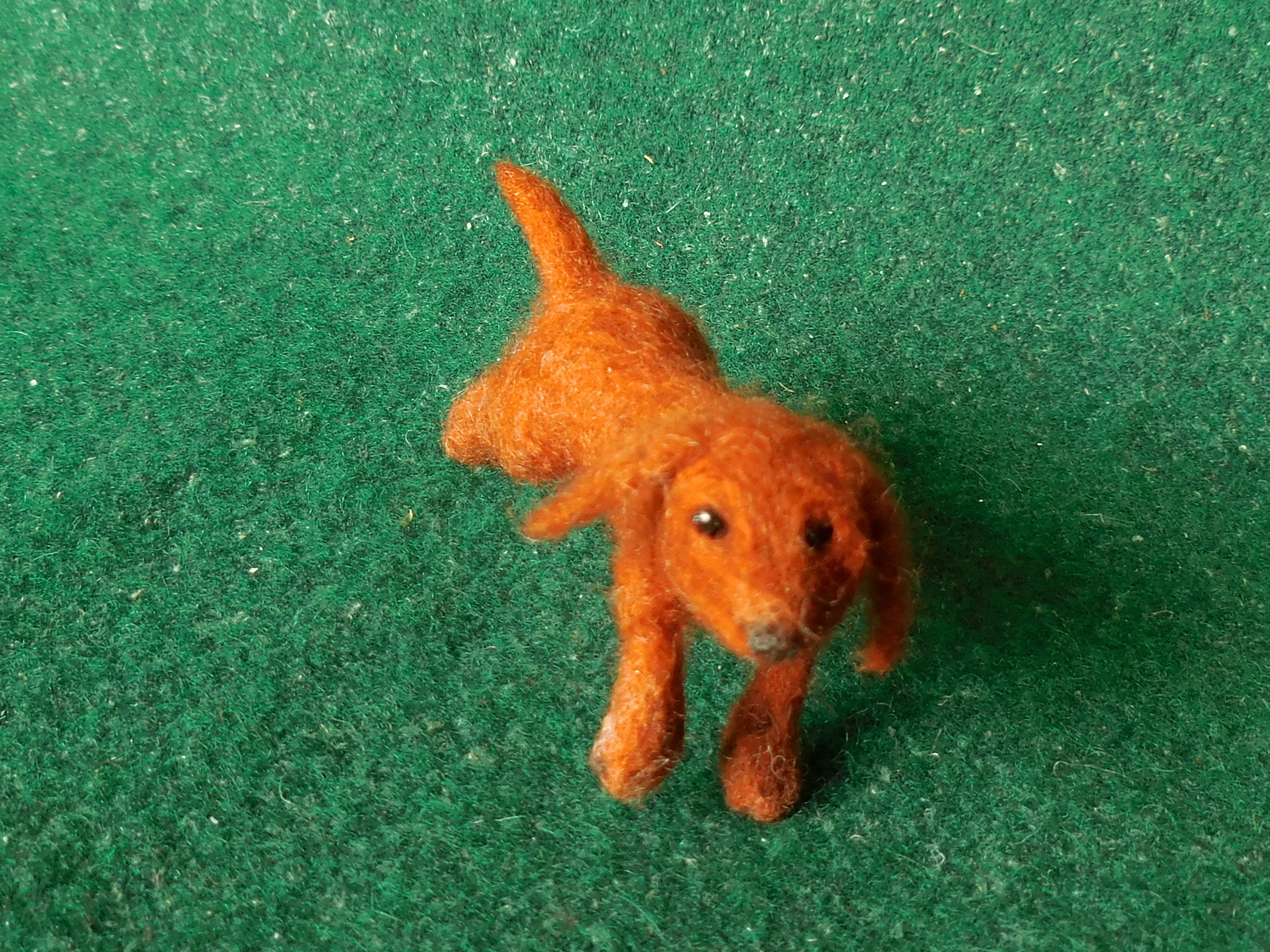 Dachshund 2