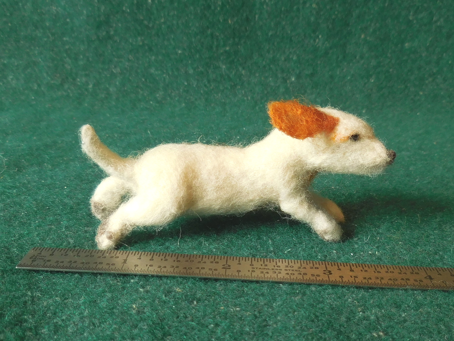Dachshund 3