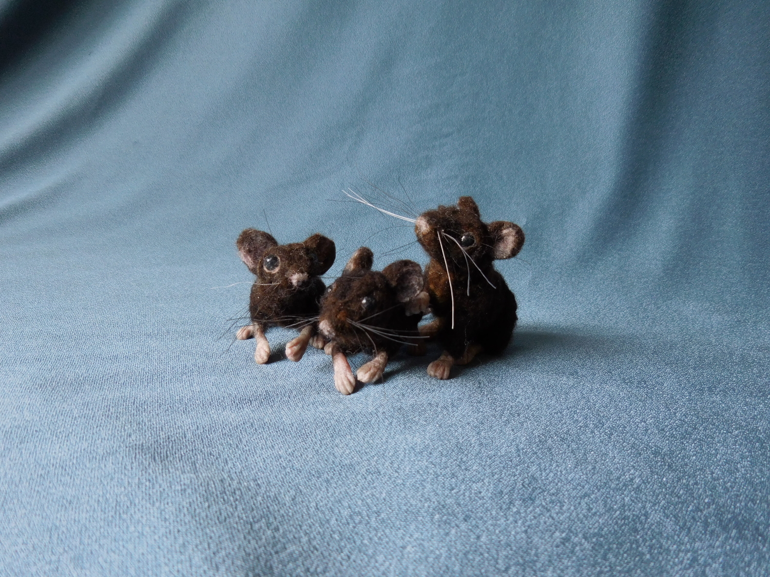 Three Black Mice