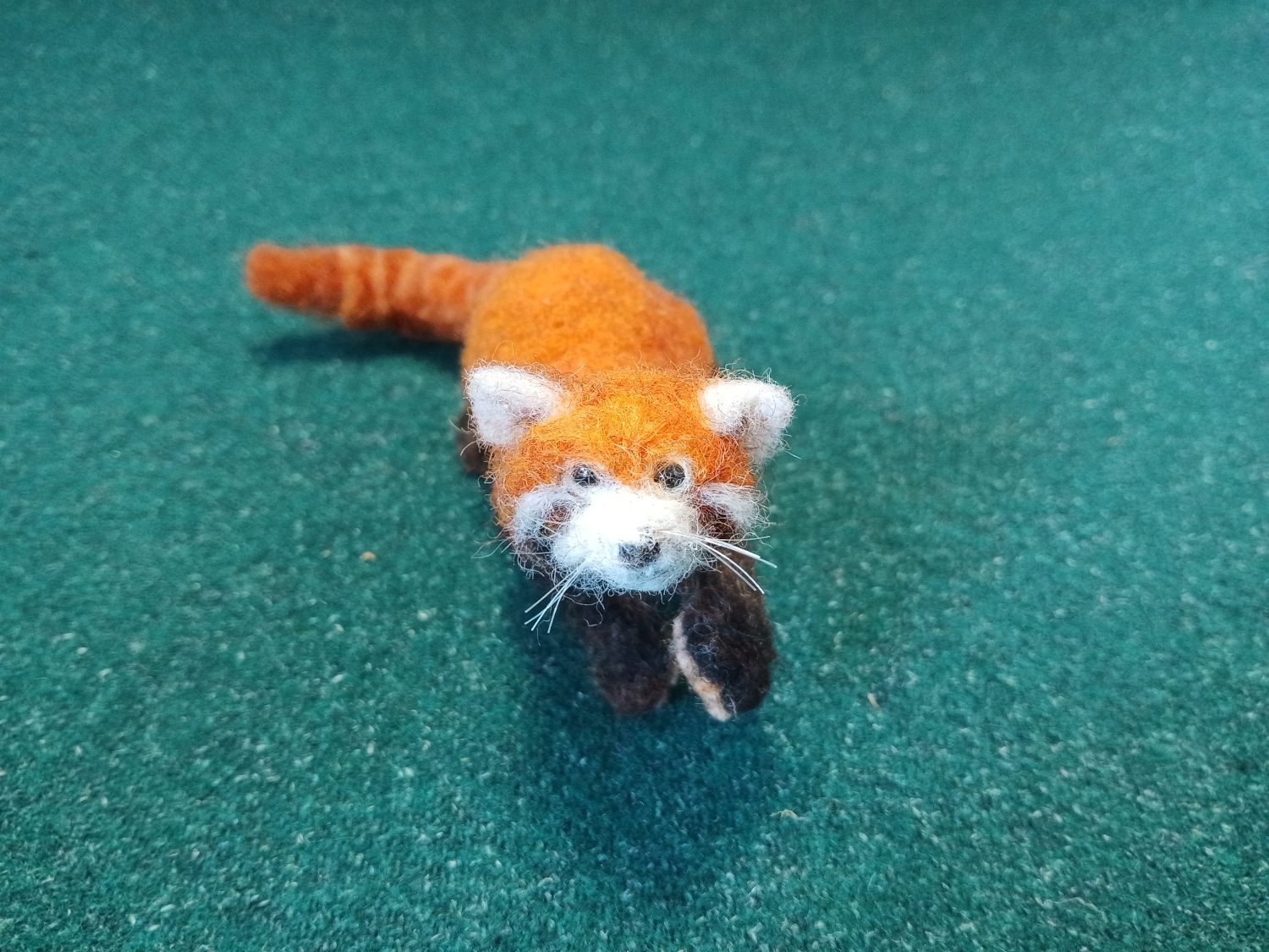 Red Panda