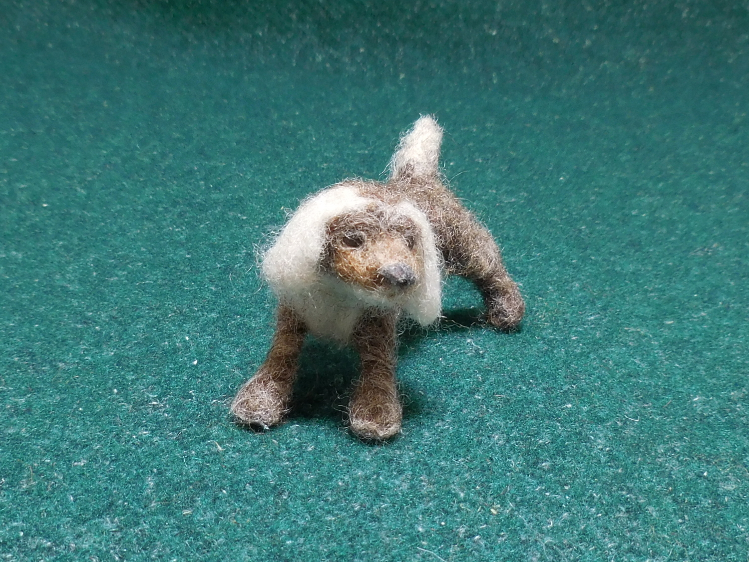 Stray Puppy