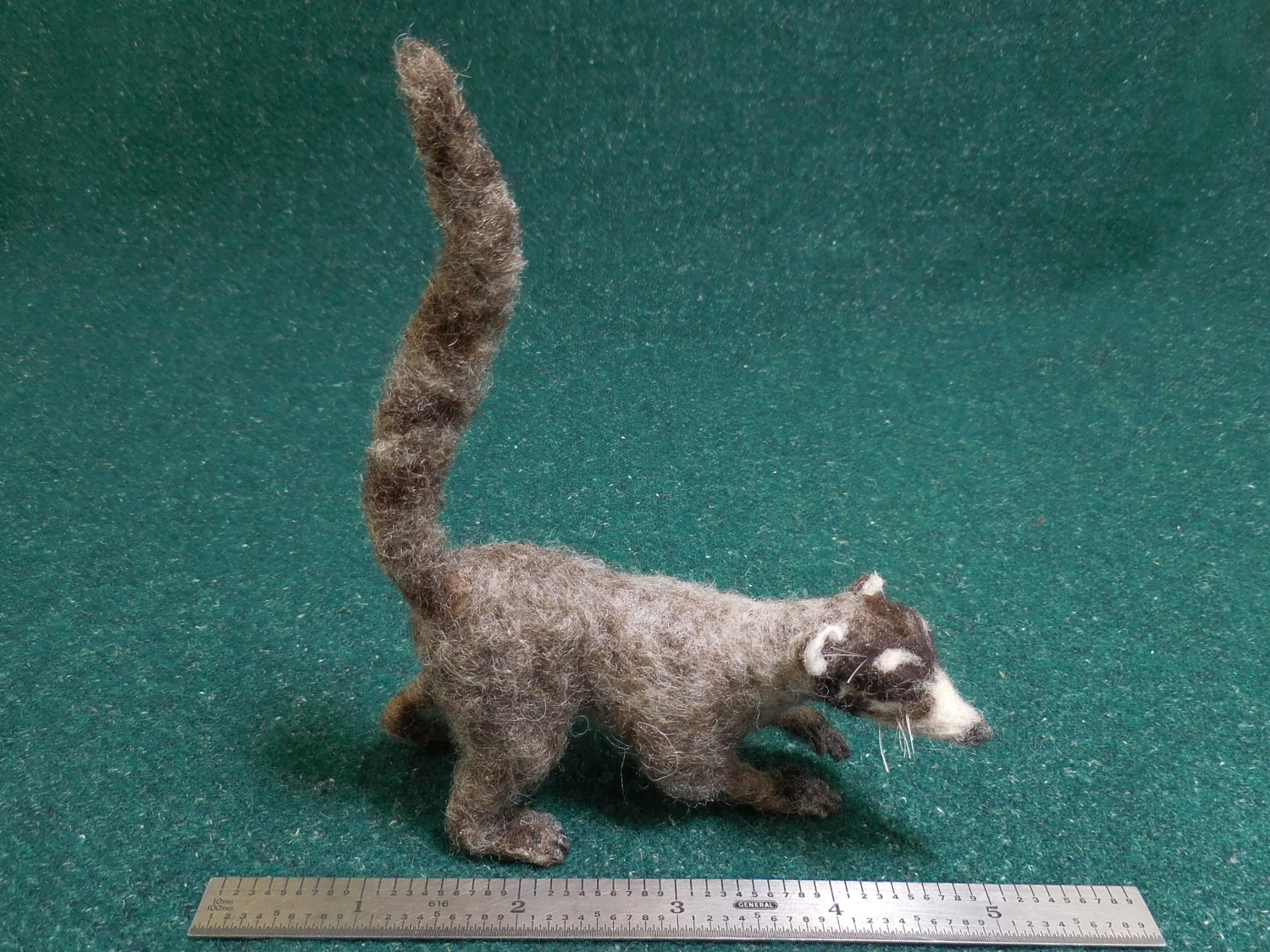 White-nosed Coati 