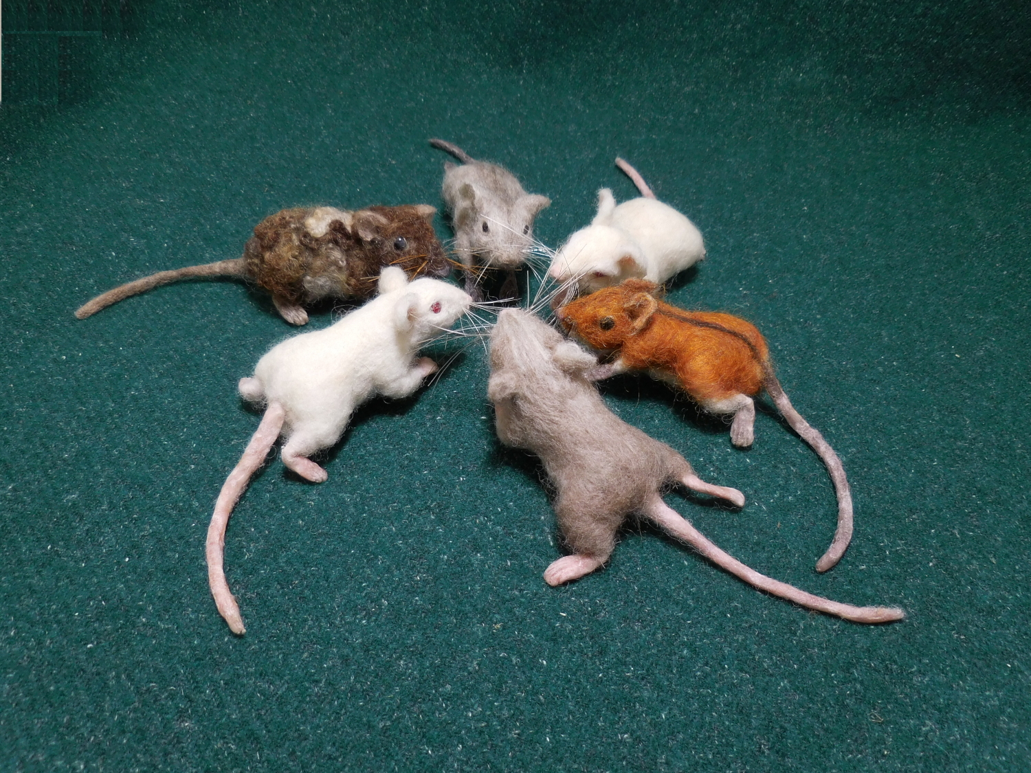 Mouse Litter 28: The Seriously Diverse Mice