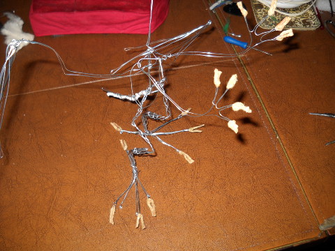 Pic #4