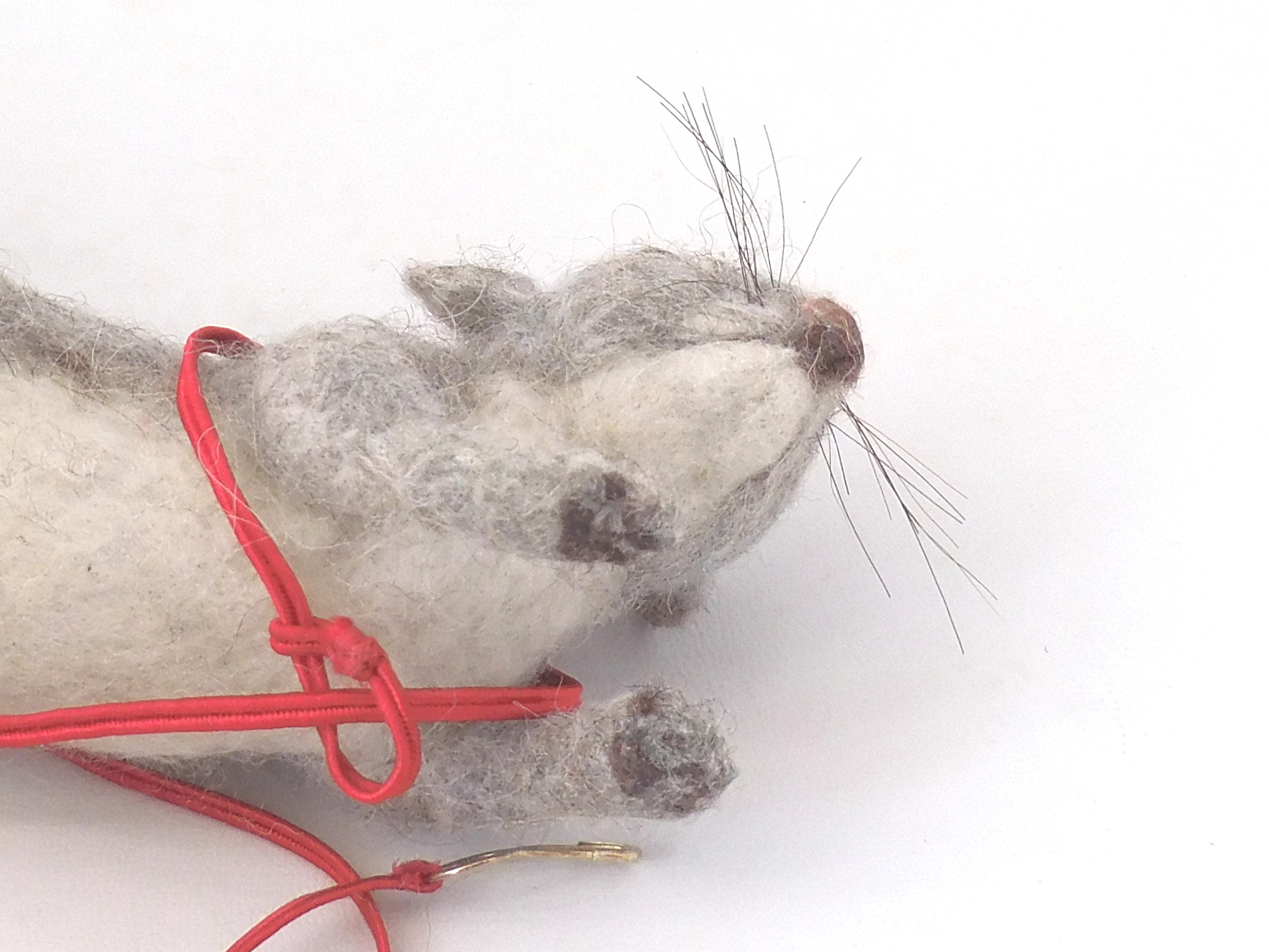 Set the loop at the point where you want the leash to go, then run the cord around your creature’s body, behind one front leg and in front of the other. Thread the pin through the loop. Pic #5: Cross harness, Step 1