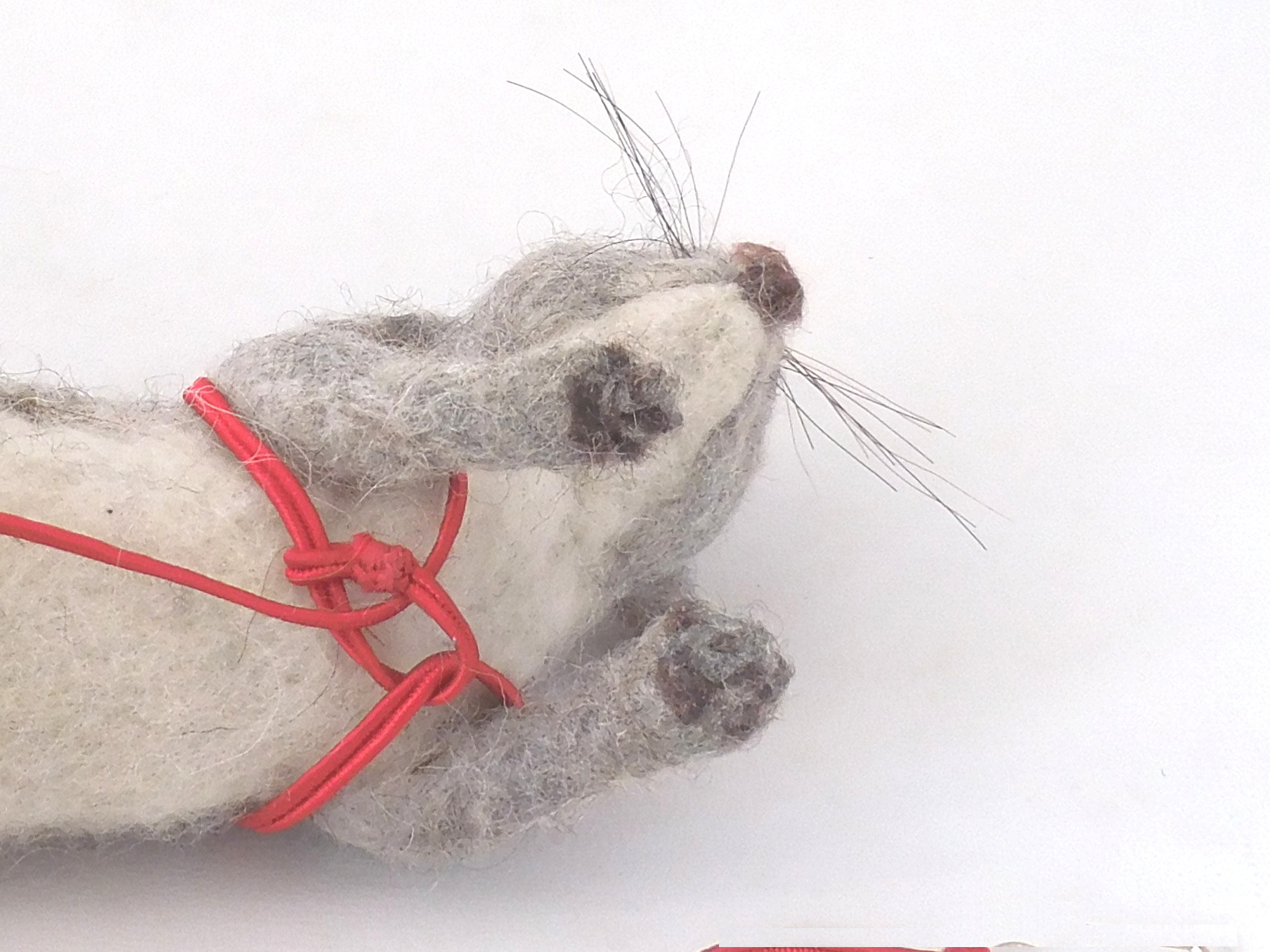 Turn the cord back and run it around your creature, behind the second front leg and in front of the first. Thread the pin through the loop again. Pic #6: Cross harness, Step 2