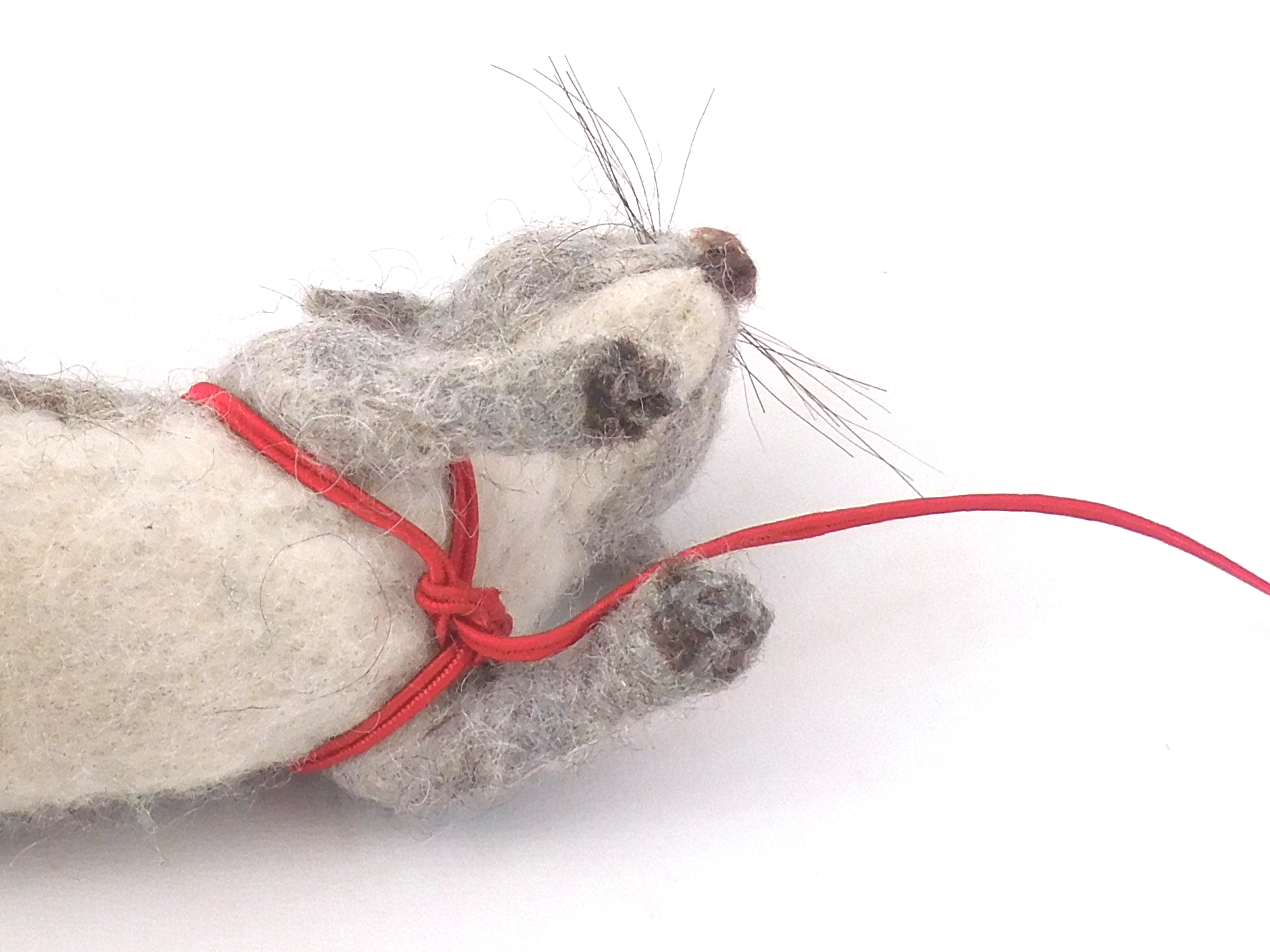 Snug the cord down firmly and tighten the loop. Pic #7: Cross harness, Step 3