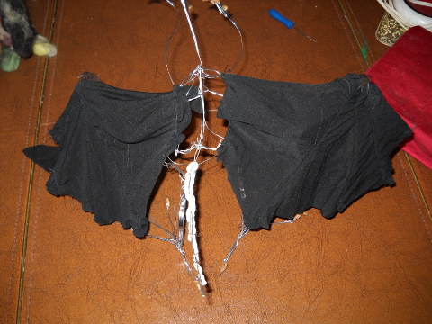 Pic #8